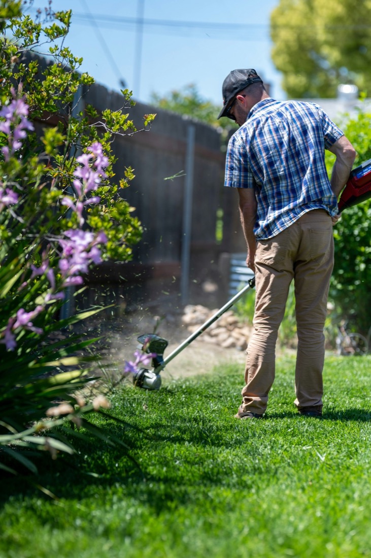 A gardener in a checked shirt strimming the lawn edge beside a flower bed in a domestic garden.